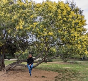 Randonnée du Mimosa