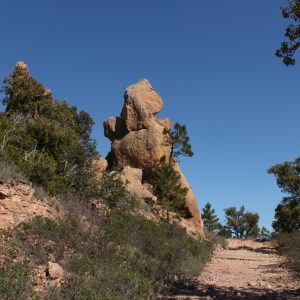 Le Mont Aigre