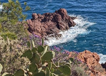 Bord de mer