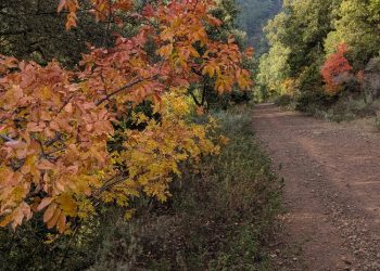 Sur le chemin du Mont Vinaigre Sur le chemin du Mont Vinaigre